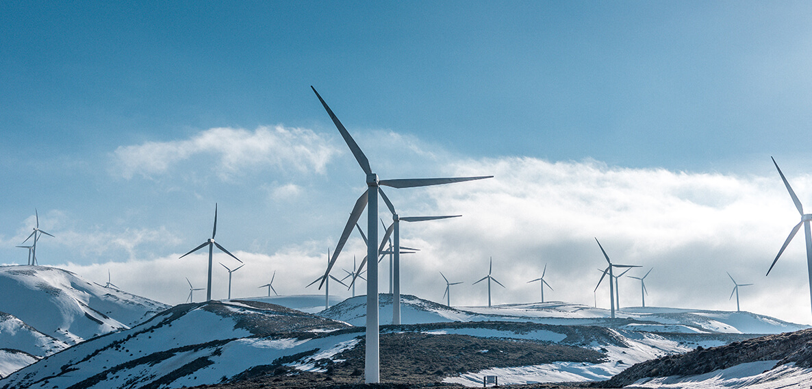 portfolio-details-01